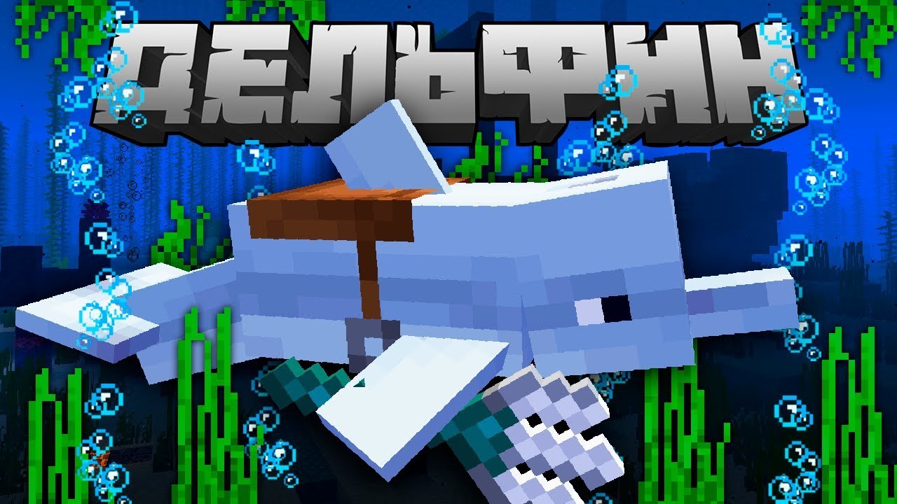 How to make Dolphin in Minecraft