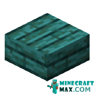 Distorted Slab in Minecraft