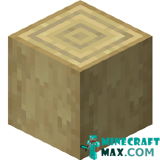 Hewn birch log in Minecraft