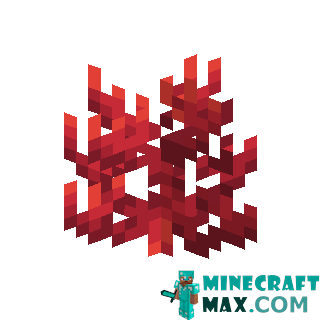 Fire coral in Minecraft