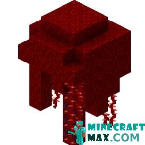 Giant Crimson Fungus in Minecraft