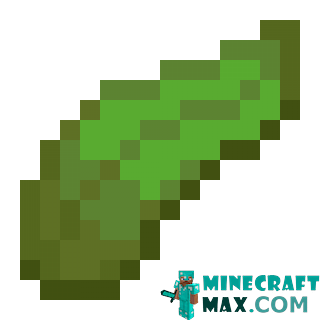 Kelp in Minecraft