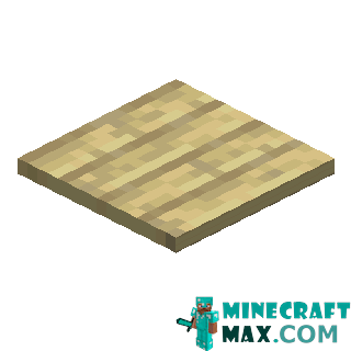 Birch Pressure Plate in Minecraft