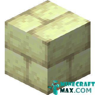 Endernyak bricks in Minecraft