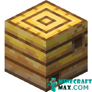 Bee nest in Minecraft