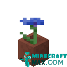 Blue cornflower in a pot in Minecraft