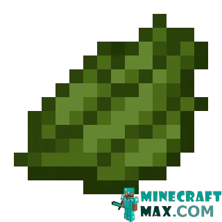 Green dye in Minecraft