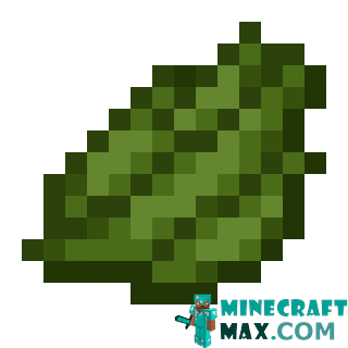 Green dye in Minecraft