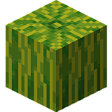 How to craft Watermelon in Minecraft