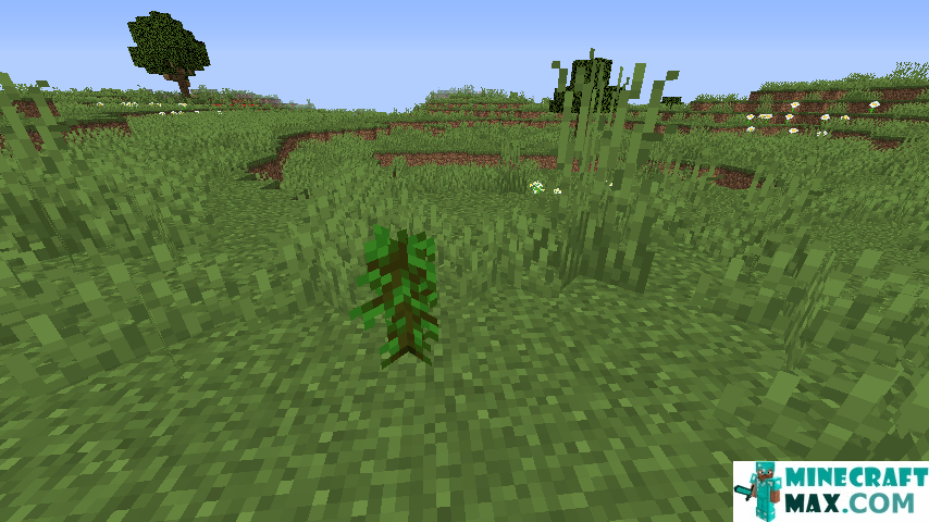 How to make Tropical tree sapling in Minecraft | Screenshot 1