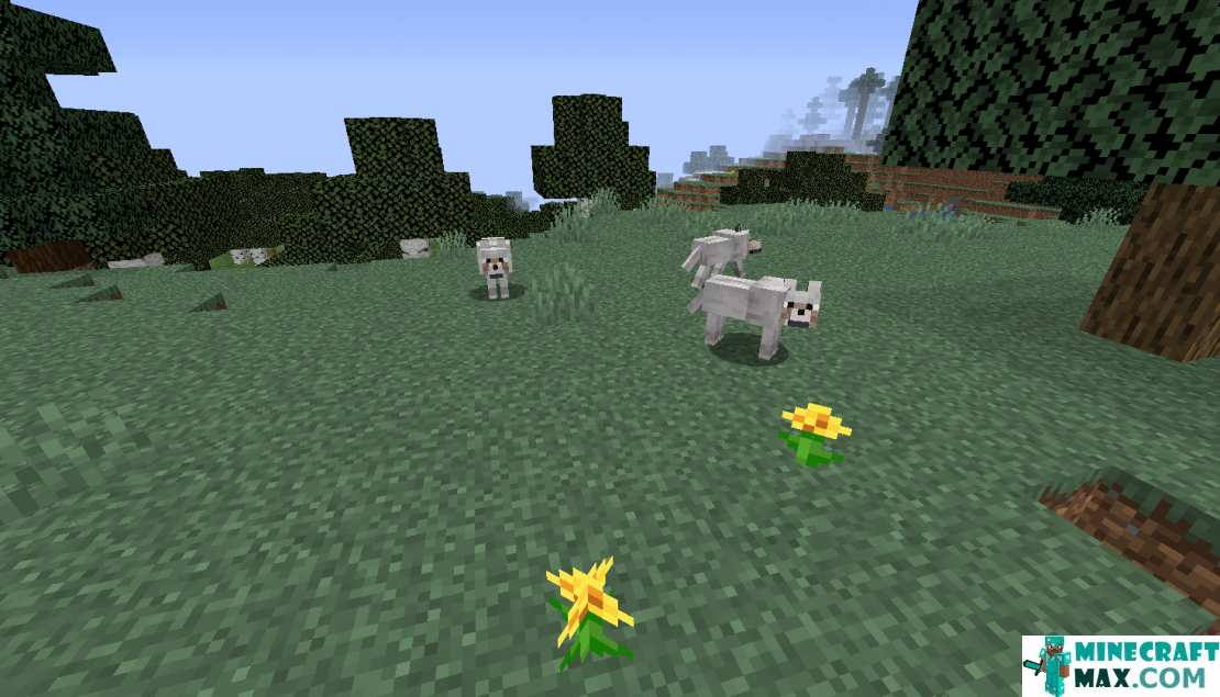 How to make Wolf Summon Egg in Minecraft | Screenshot 2