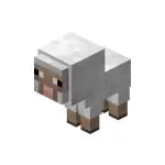 Lamb in Minecraft