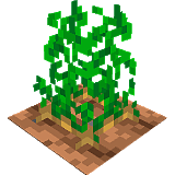How to craft Potatoes in the garden in Minecraft