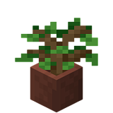 How to craft Oak seedling in a pot in Minecraft