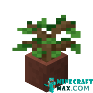 Oak seedling in a pot in Minecraft