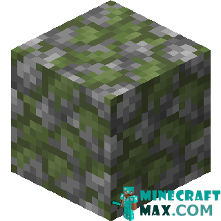 Mossy cobblestone in Minecraft