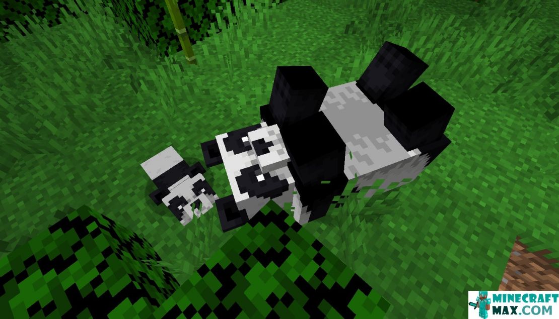 How to make Panda in Minecraft | Screenshot 6