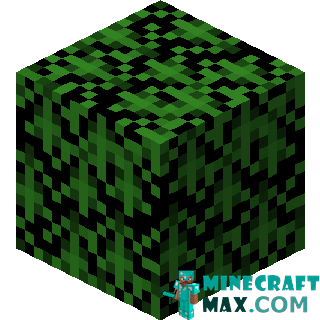 Needles in Minecraft