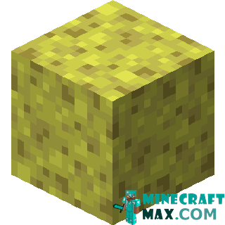 Sponge in Minecraft