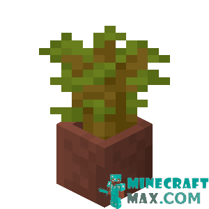 Acacia seedling in a pot in Minecraft