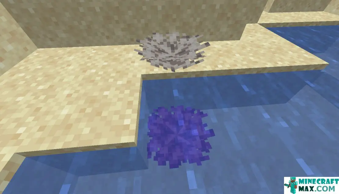 How to make Dead Fan Bubble Coral in Minecraft | Screenshot 1