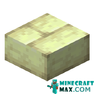 Endernyak brick slab in Minecraft