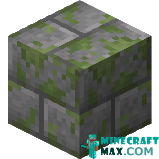 Infected Mossy Stone Bricks in Minecraft