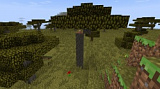 How to craft Savannah in Minecraft