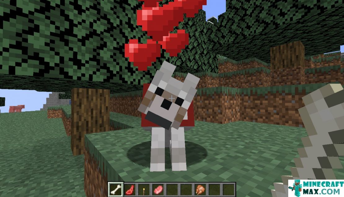 How to make Tamed wolf in Minecraft | Screenshot 1