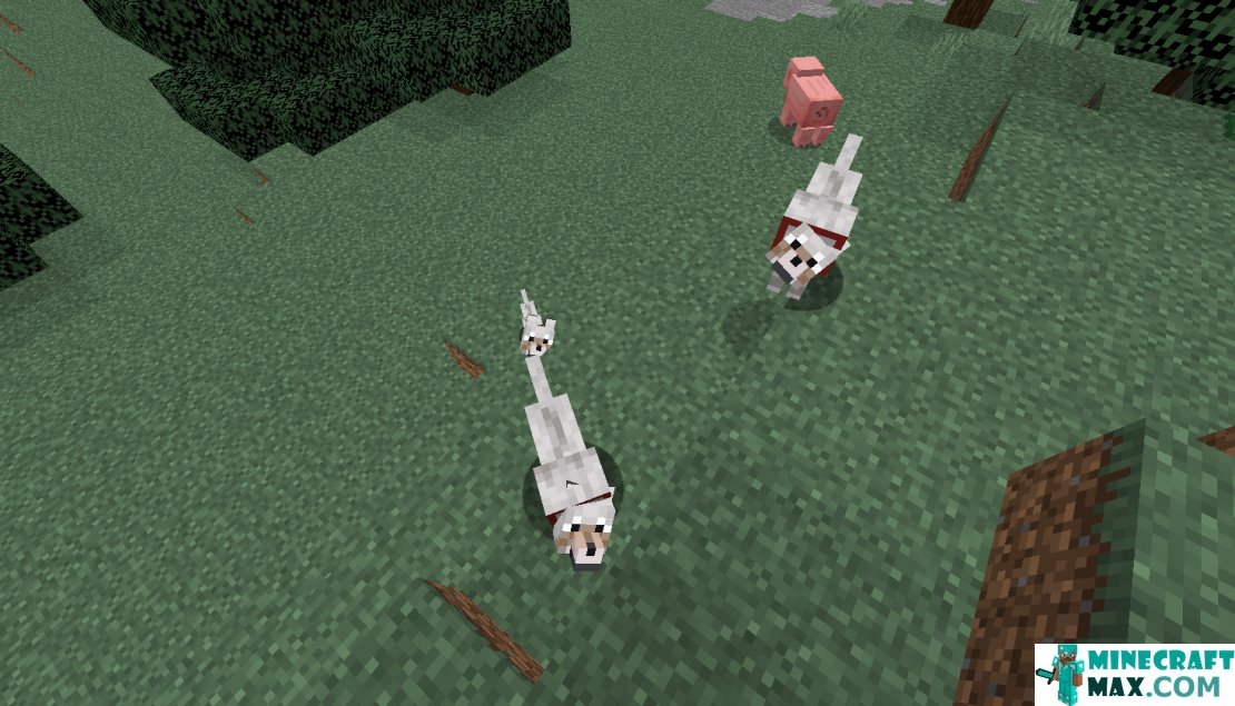 How to make Wild wolf in Minecraft | Screenshot 6