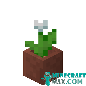 White tulip in a pot in Minecraft