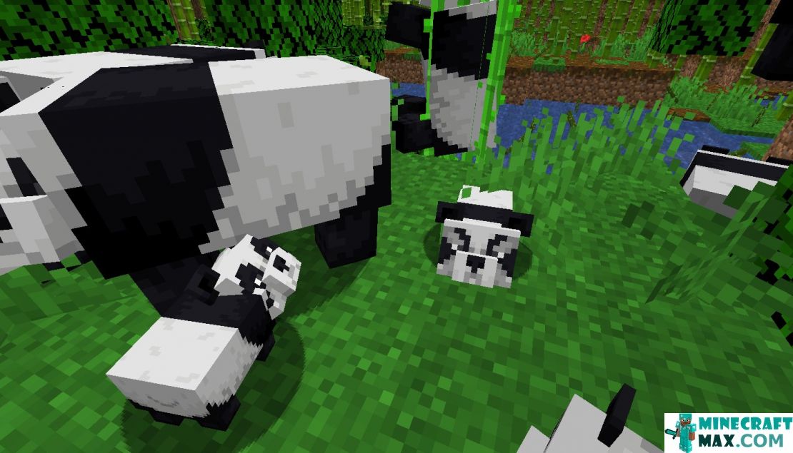 How to make Panda in Minecraft | Screenshot 5