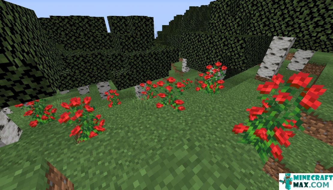 How to make Birch forest in Minecraft | Screenshot 2