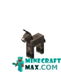 Foal in Minecraft