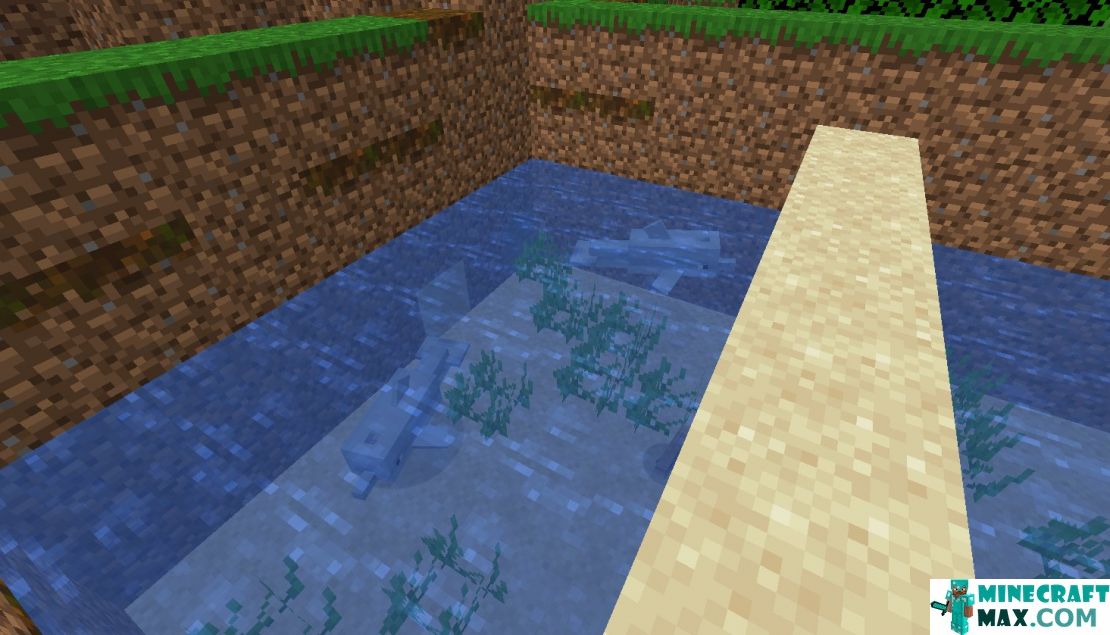 How to make Dolphin Summon Egg in Minecraft | Screenshot 3