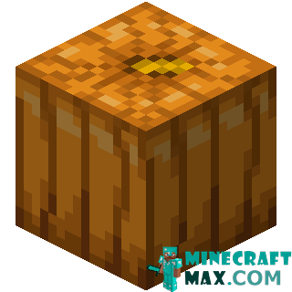 Pumpkin in Minecraft