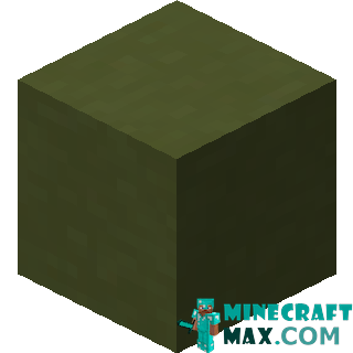 Green ceramics in Minecraft