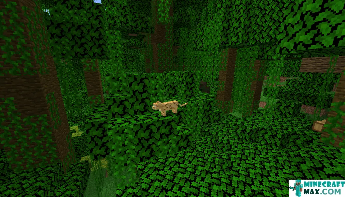 How to make Jungle in Minecraft | Screenshot 4