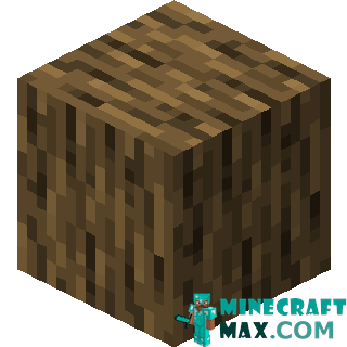 Oak in Minecraft