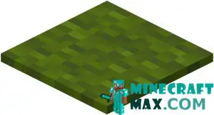 Green carpet in Minecraft