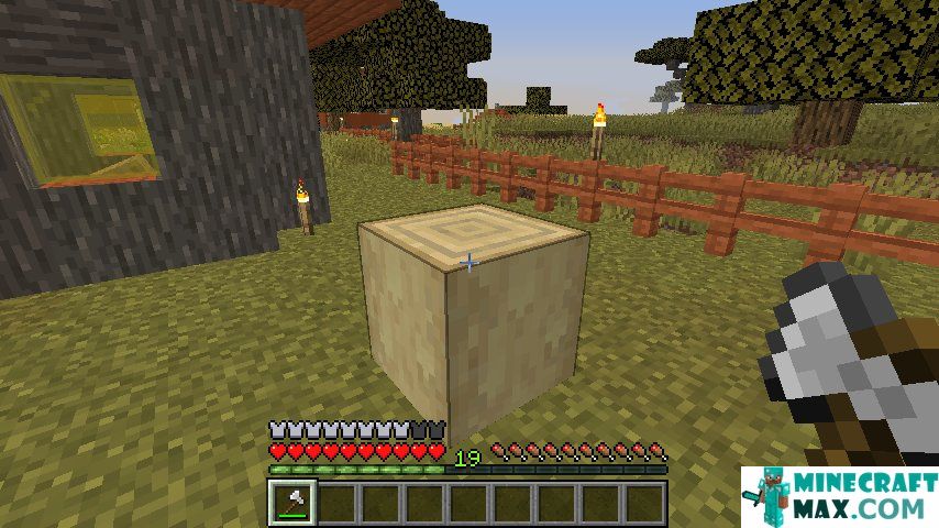 How to make Hewn birch log in Minecraft | Screenshot 1