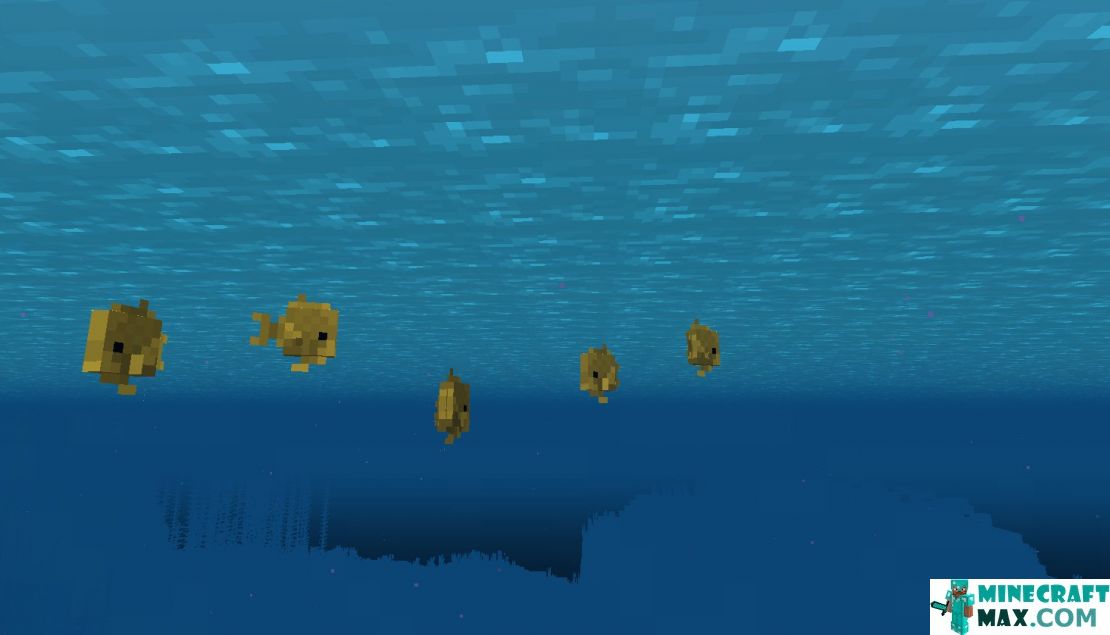 How to make Tropical fish in Minecraft | Screenshot 3