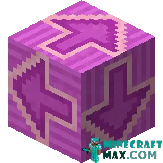 Purple Glazed Pottery in Minecraft