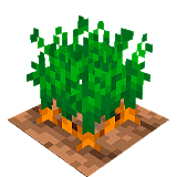 How to craft Carrots in the garden in Minecraft