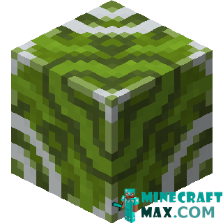 Green glazed ceramics in Minecraft