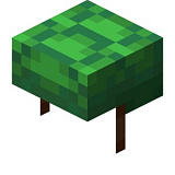 How to craft Turtle shell in Minecraft