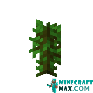 Tropical tree sapling in Minecraft