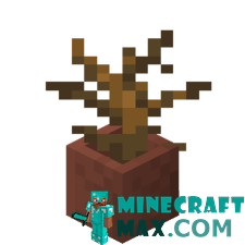 Dead bush in a pot in Minecraft