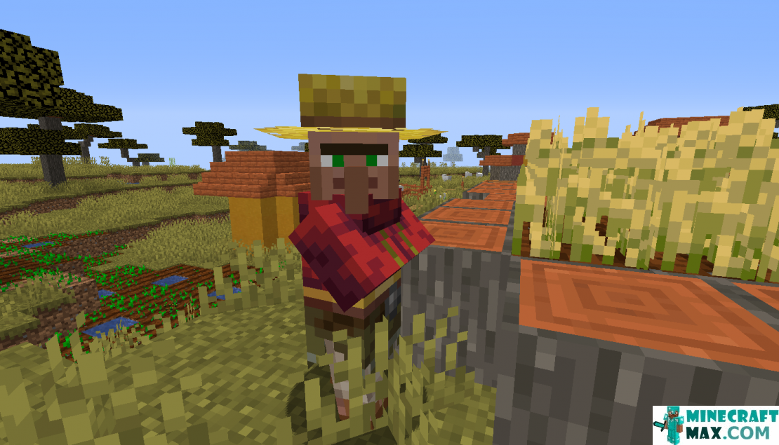 How to make Farmer in Minecraft | Screenshot 9