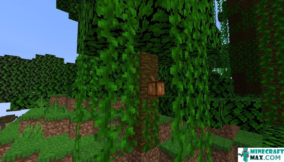 How to make Tropical tree sapling in Minecraft | Screenshot 4